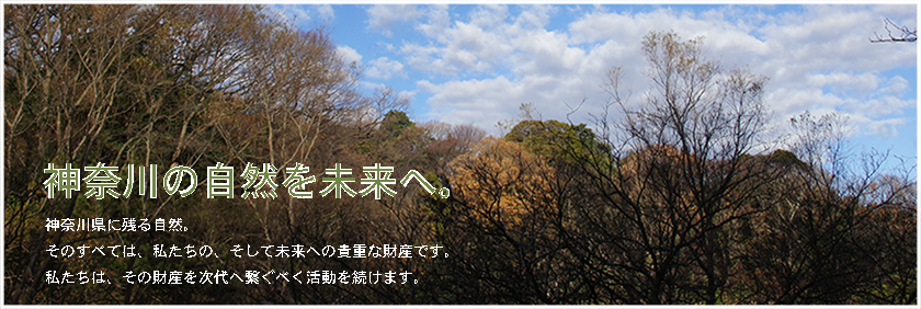 �_�ސ�̎��R�����B