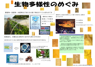 �W���p�l���R