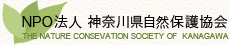 NPO�@�l�_�ސ쎩�R�ی싦��